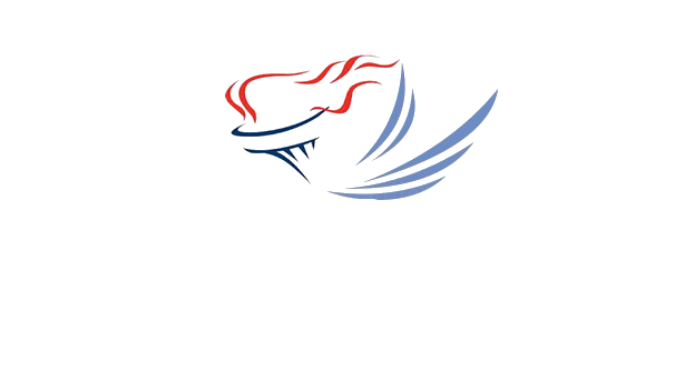 Angel Torch Foundation logo